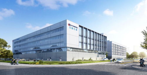 從龍圖光罩到環(huán)境科技 中國半導(dǎo)體產(chǎn)業(yè)自主可控的雙輪驅(qū)動(dòng)